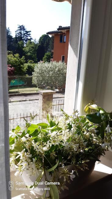 Il Blu Di Laveno Apartment ภายนอก รูปภาพ